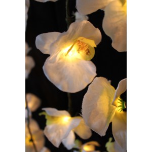 Orchid Electric String Lights