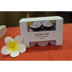 Coconut Lime Scented Candles - (6 Pack)