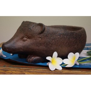 Hedgehog Planter