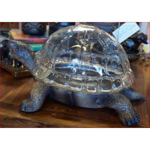 Turtle Terrarium Planter