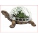 Turtle Terrarium Planter